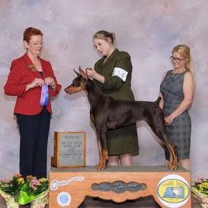 Meet your Posher, Hope